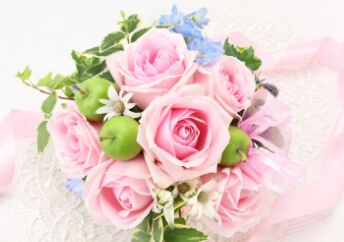 髪も心もキレイに